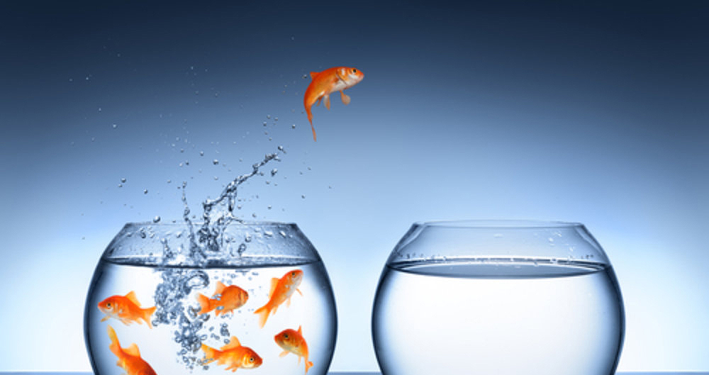 Transformación digital es... ¿hacerme una web?